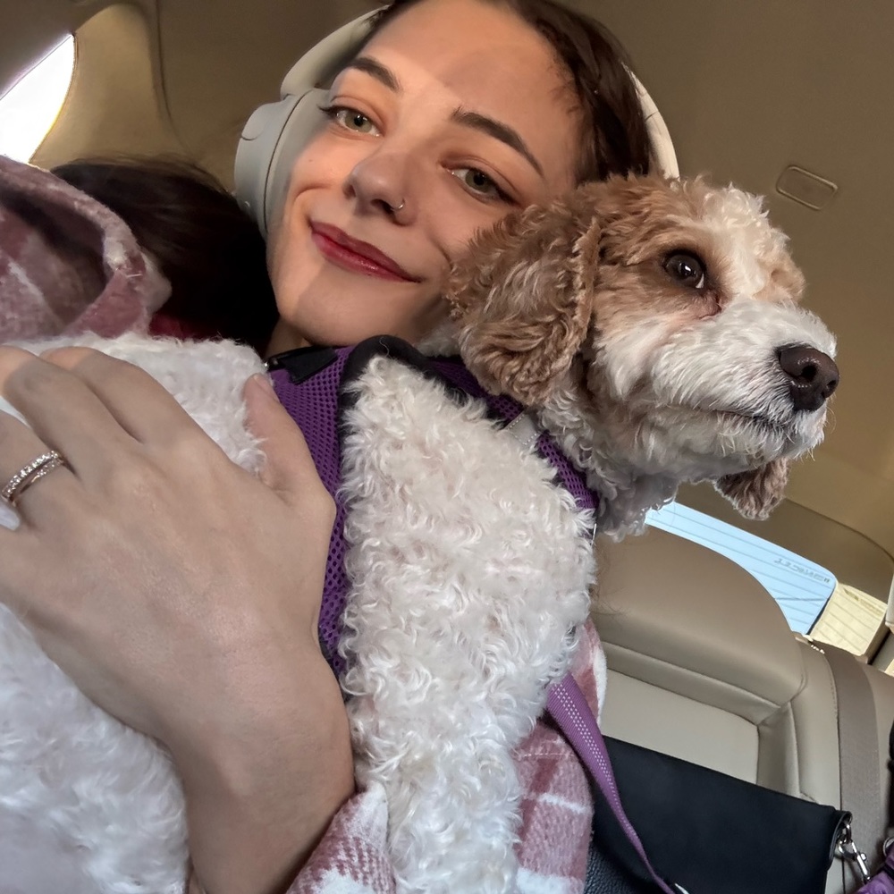 Meet your Posher, Shelby